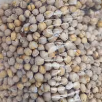 نخود ریز برشته 