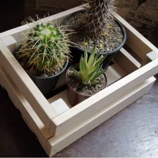 باکس ( جعبه چوبی )