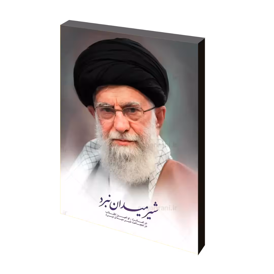 تابلو شاسی شیر میدان نبرد  مدل 2R34