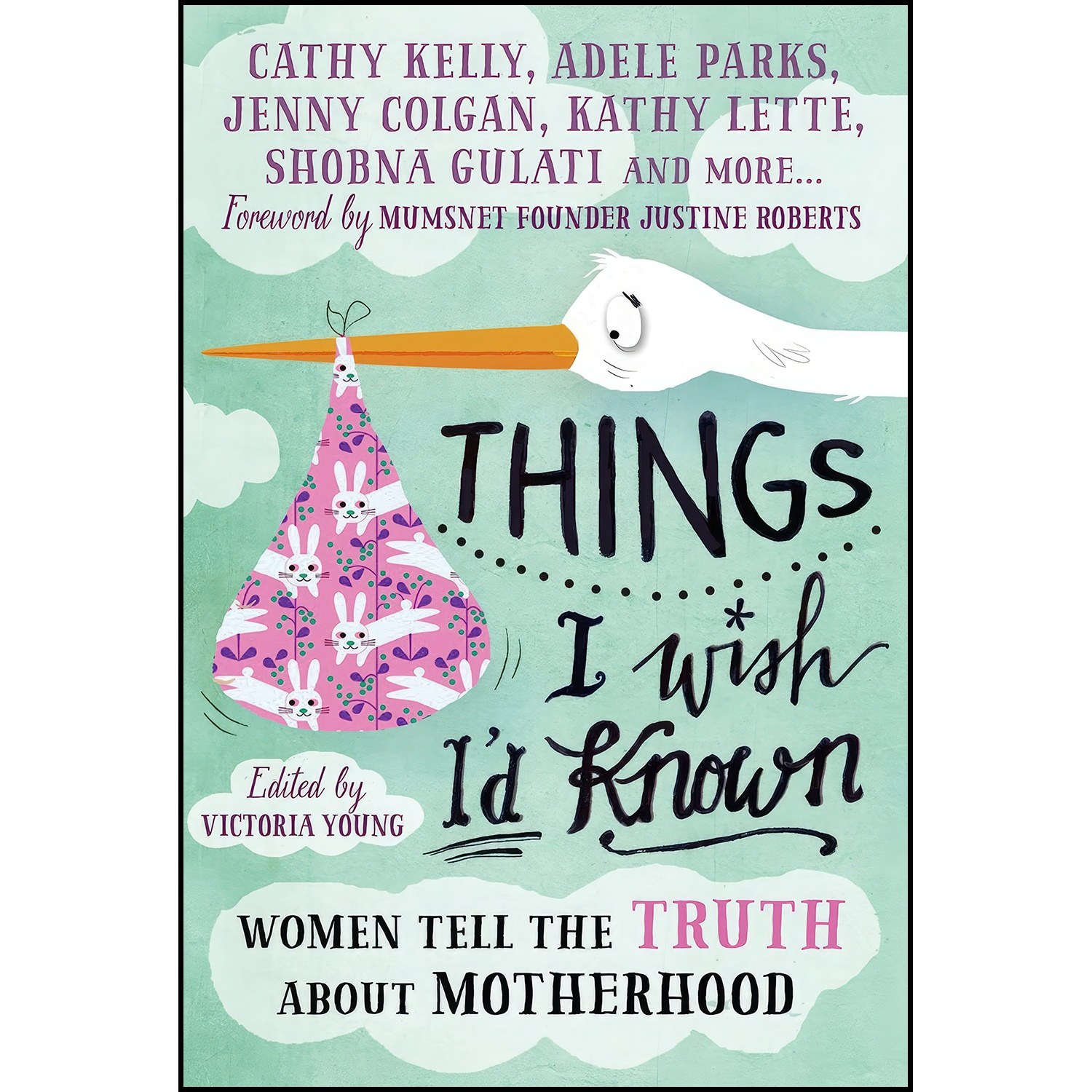 کتاب زبان اصلی Things I Wish Id Known اثر Victoria L Young