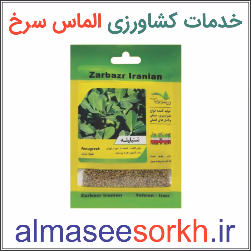 بذر شنبلیله ممتاز زر بذر ایرانیان | گیاه پزشکی الماس سرخ