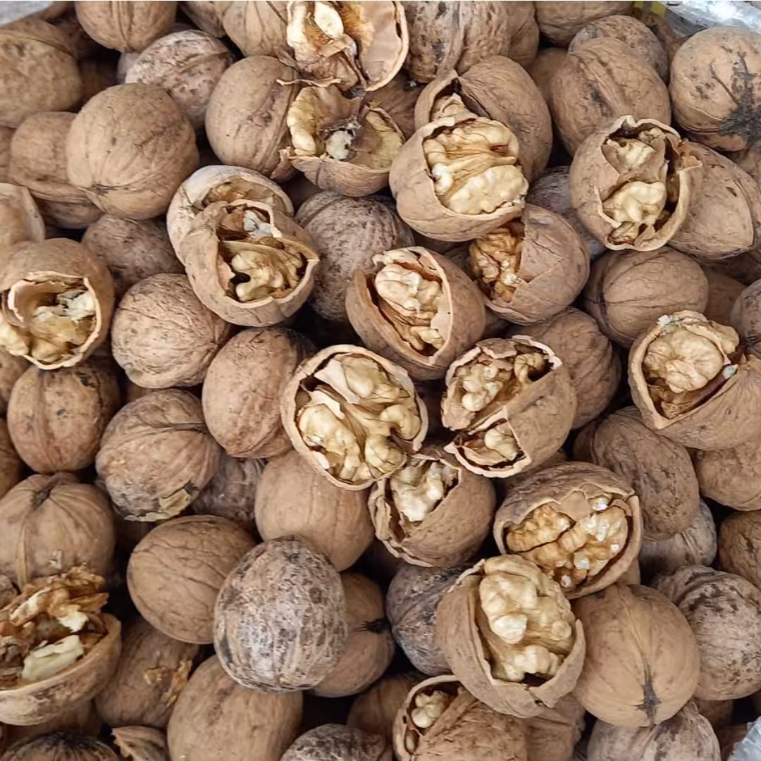 گردو تویسرکان امسالی 2 کیلویی. محصول تضمین کیفیت ومرجوعی دارد. چرب. مغز سفید