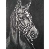 نقاشی سیاه قلم اسب طبیعی سایزa4