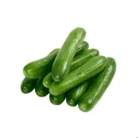 خیار رسمی ارگانیک رضوانی