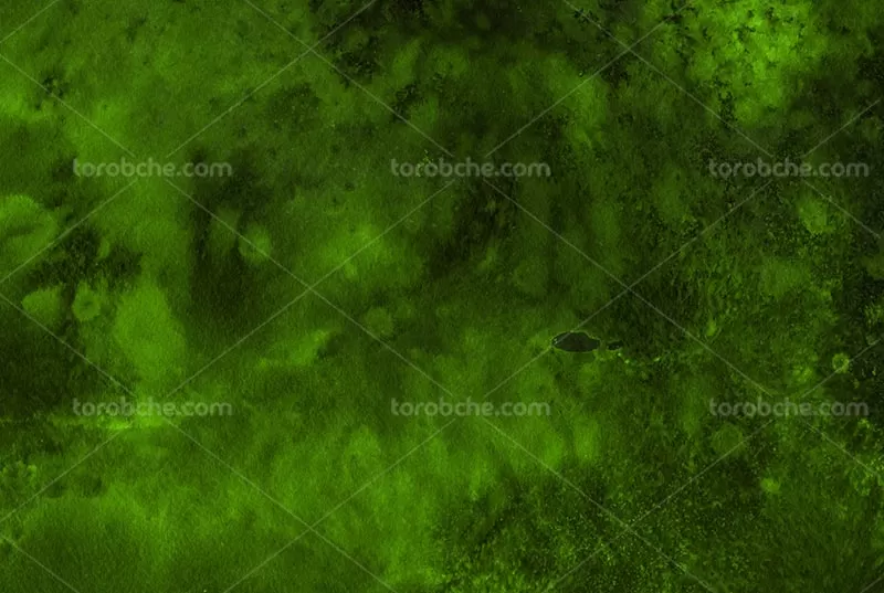 تکسچر آبرنگ سبز | گرافیک با طعم تربچه