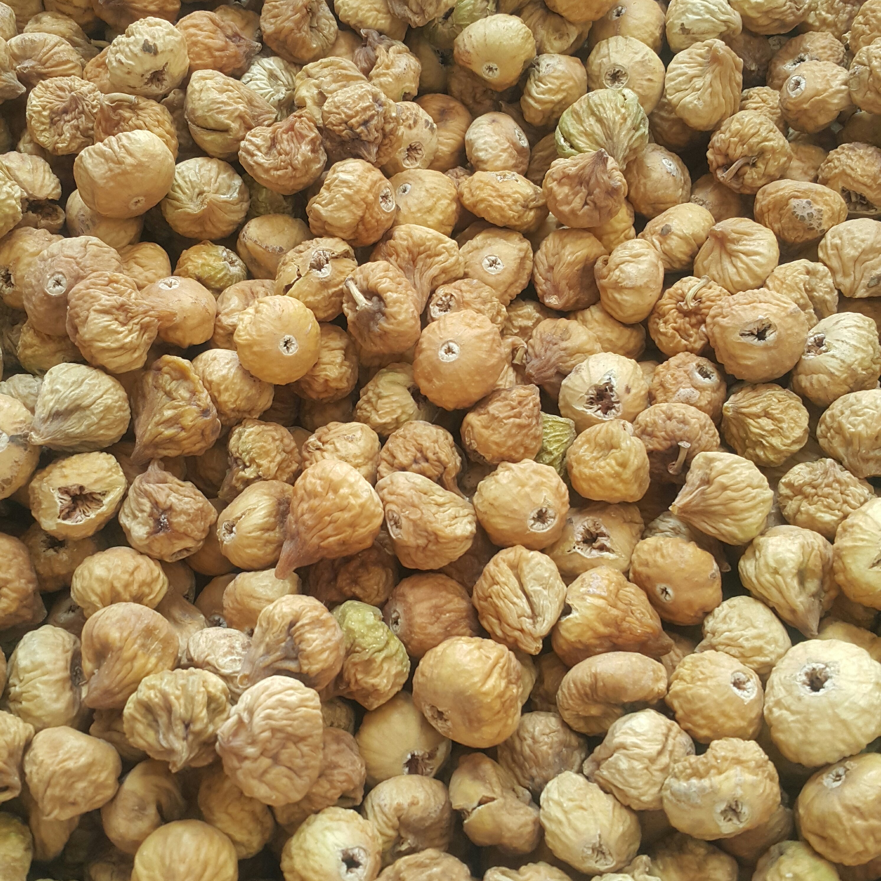 انجیر  درشت (18 کیلو)