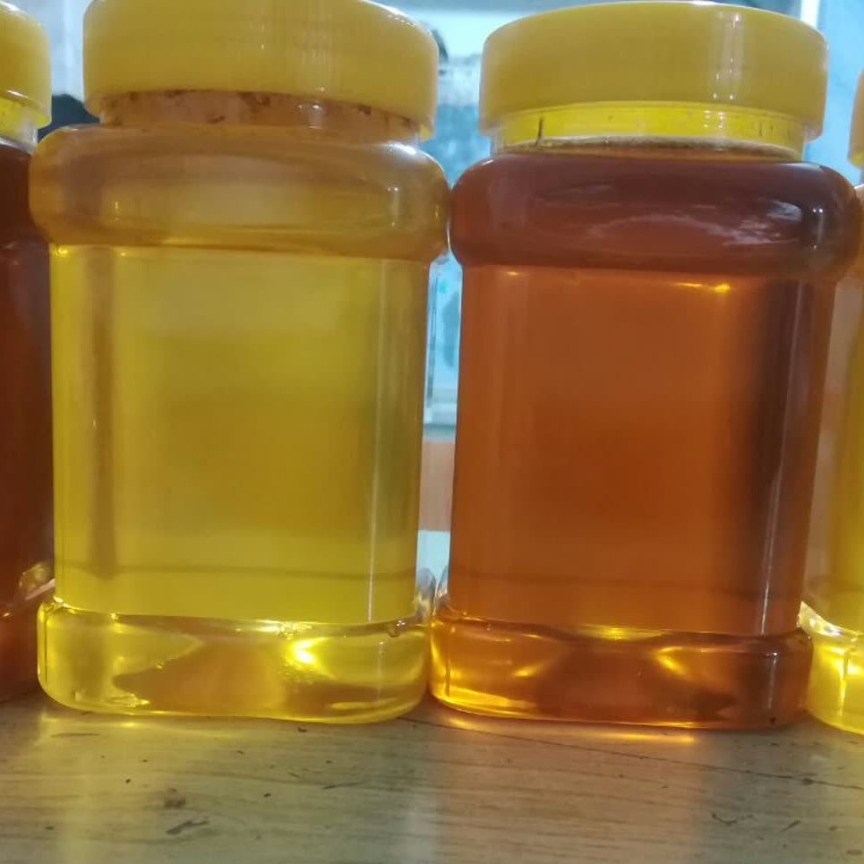 عسل طبیعی دشت مغان