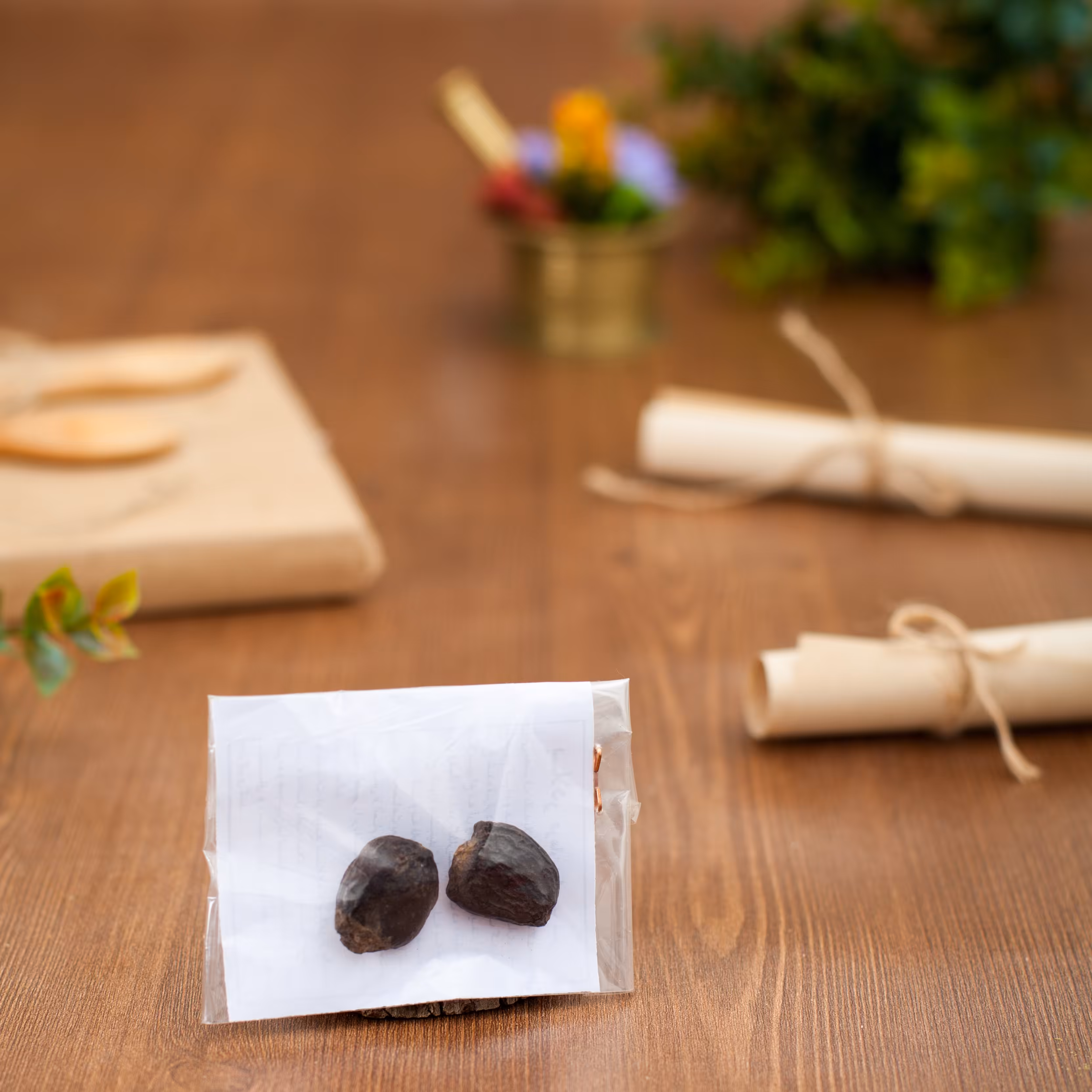 اکسیر بلادر