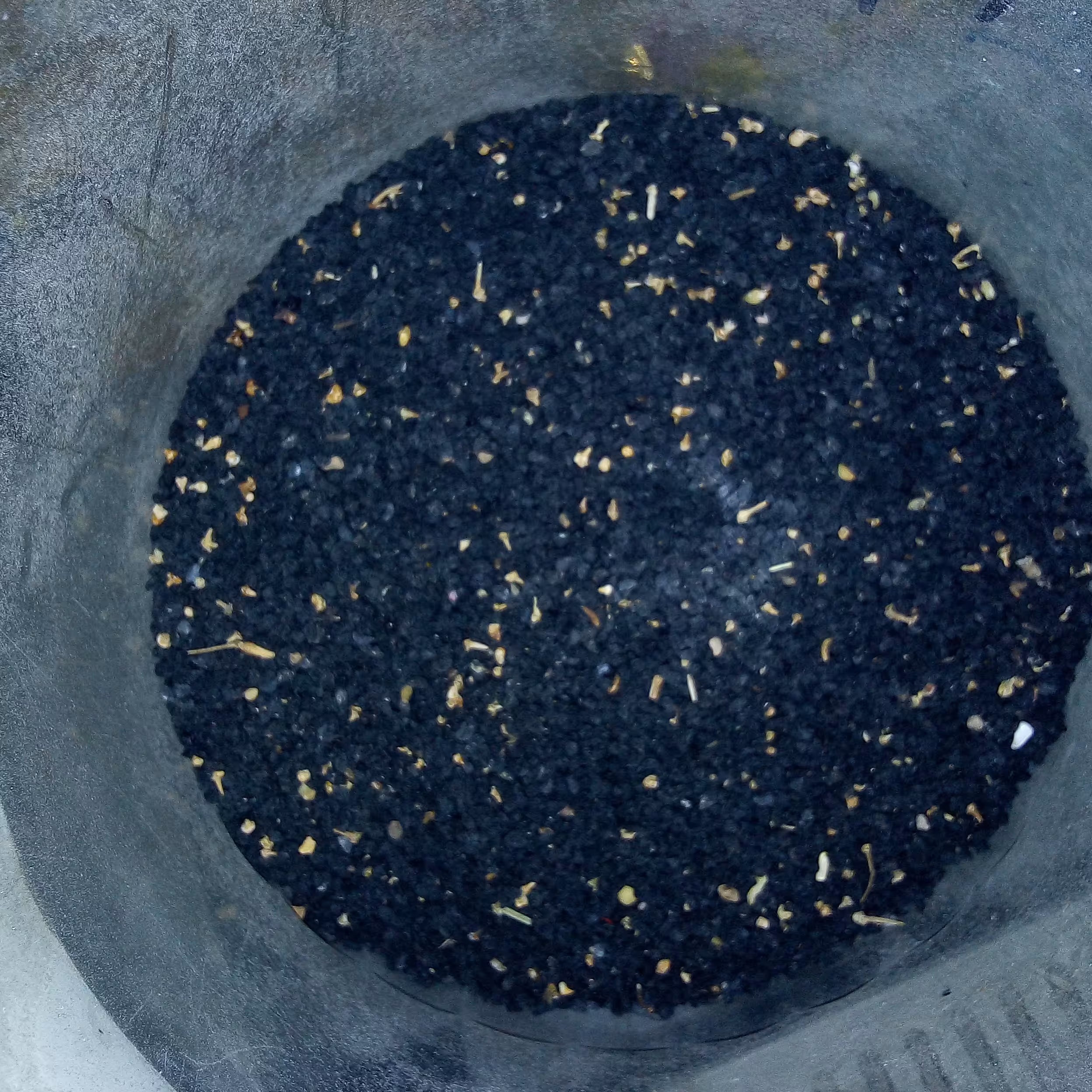 بذر تره 50 گرمی