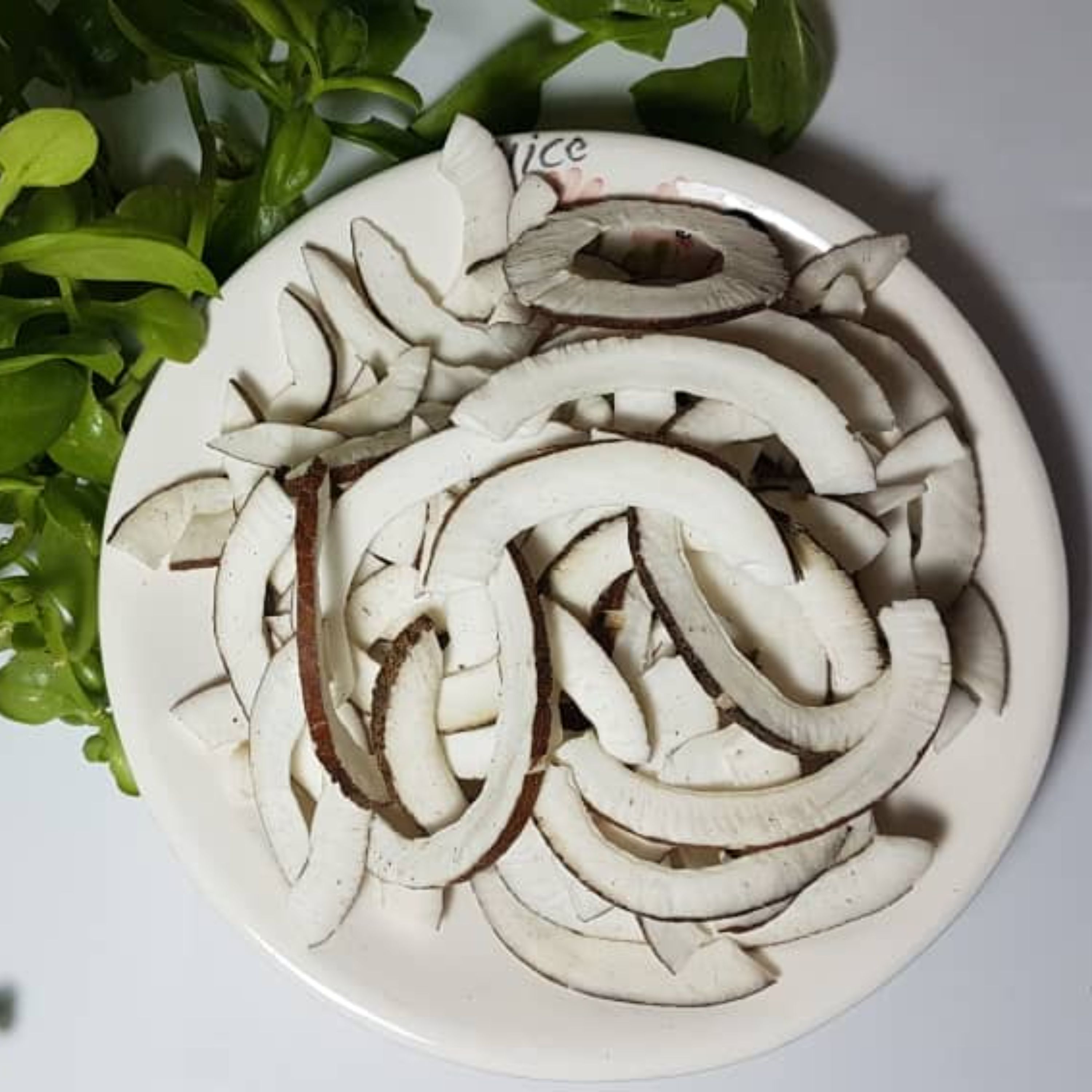 نارگیل خشک ( 100 گرمی )