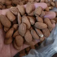 مغز بادام درشت شیرین لوکس ارسال به سراسر ایران 