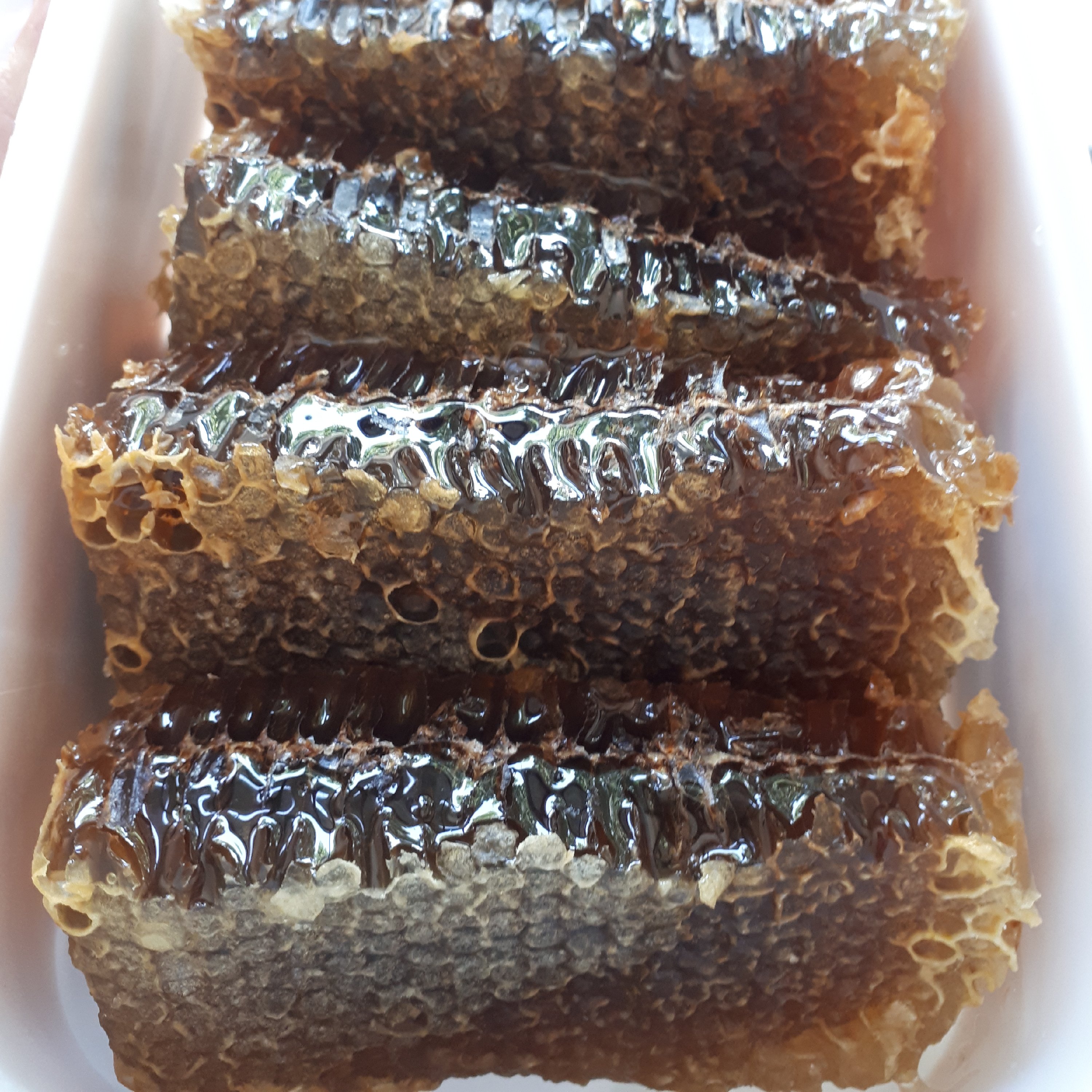 عسل مومی .رنگ مایل به تیره
چهل گیاه بسیار خوش طعم و مزه
ساکاروز 3و ارزش غذایی بالا در بسته بندی 2کیلویی ارسال رایگان