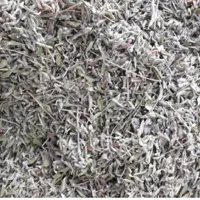 آویشن کوهی قاینات 