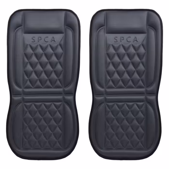 پشتی صندلی SPCA مجموعه دو عددی طوسی