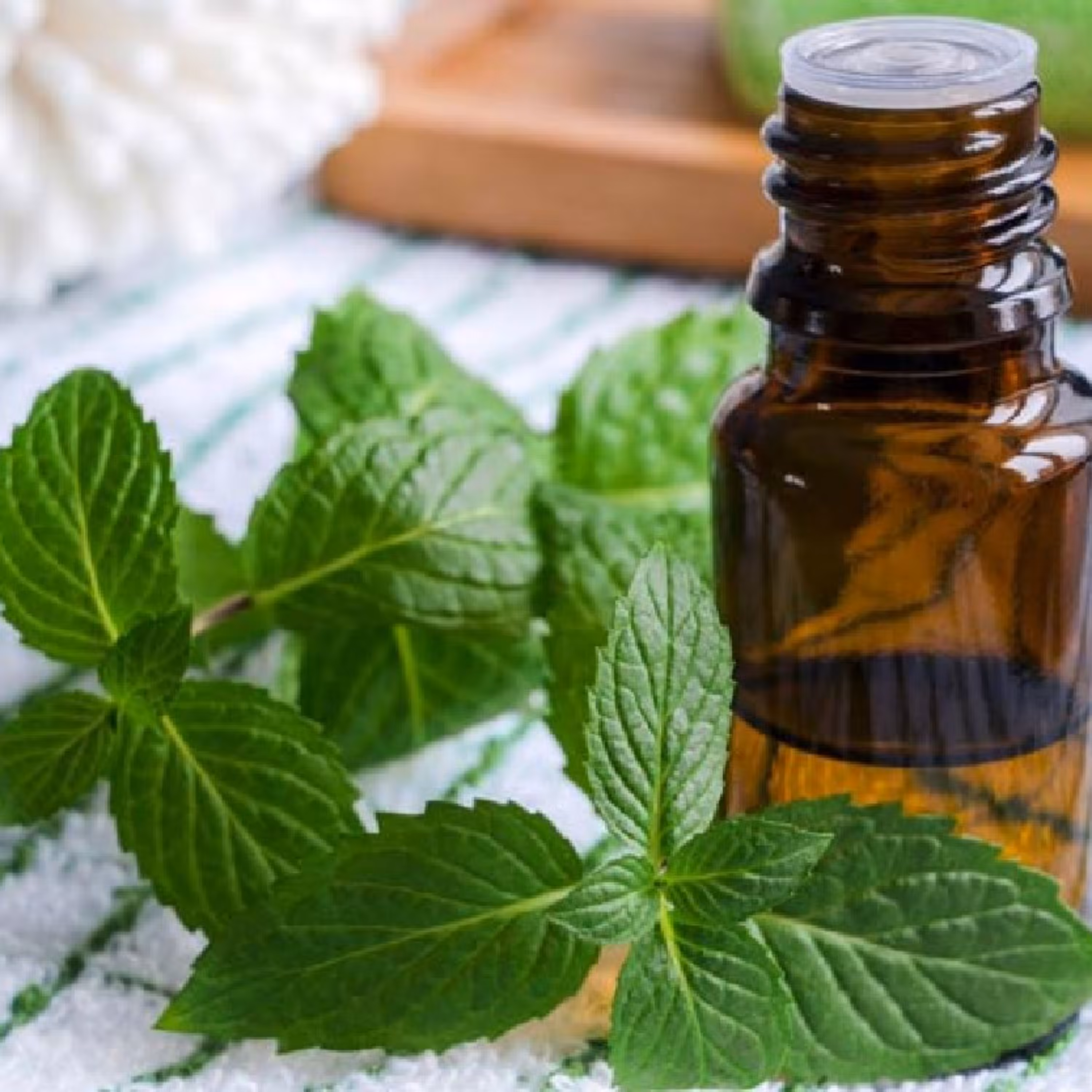 اسانس مایع نعنا فلفلی درجه یک برند آلمانی در بسته های 100 گرمی