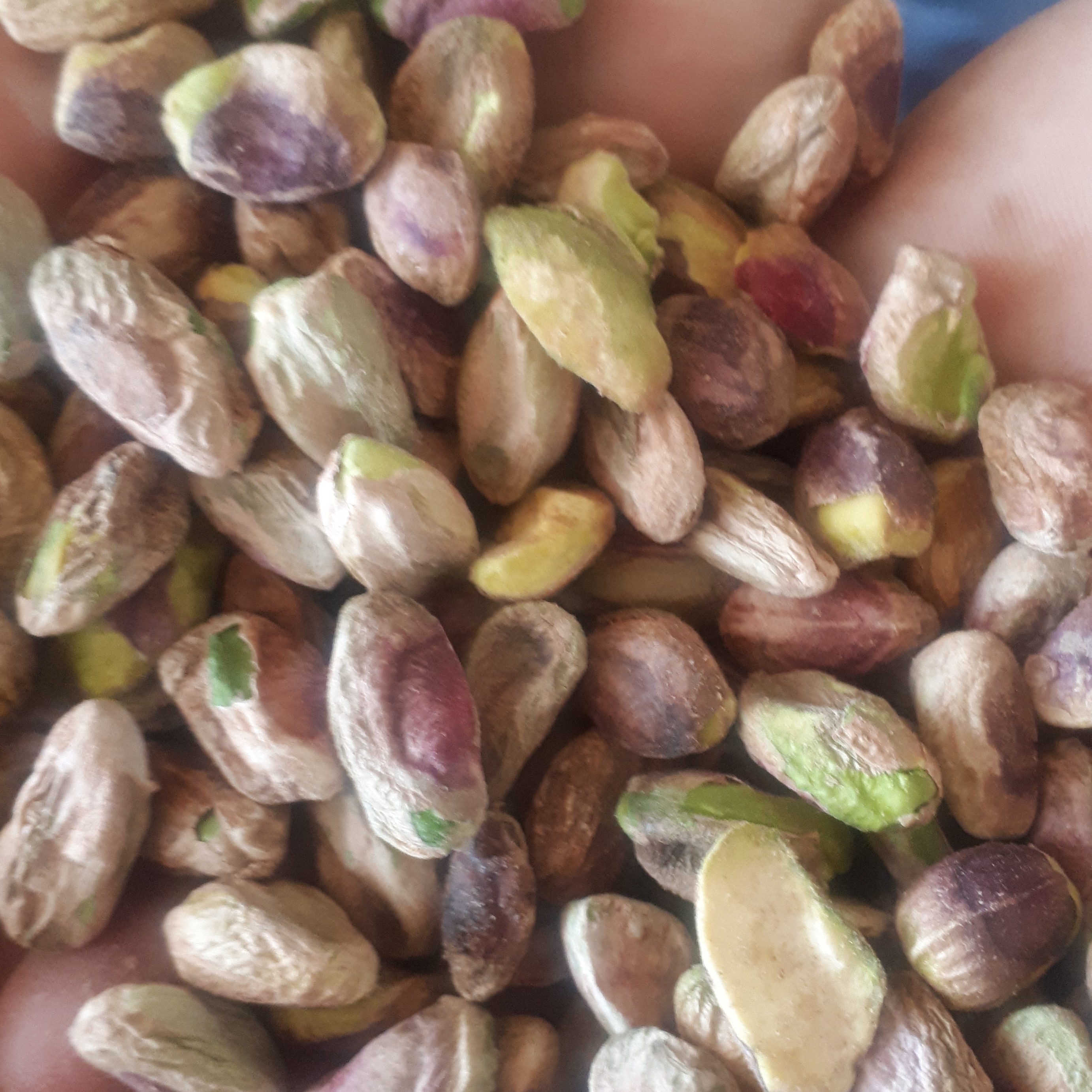 مغز پسته درجه یک