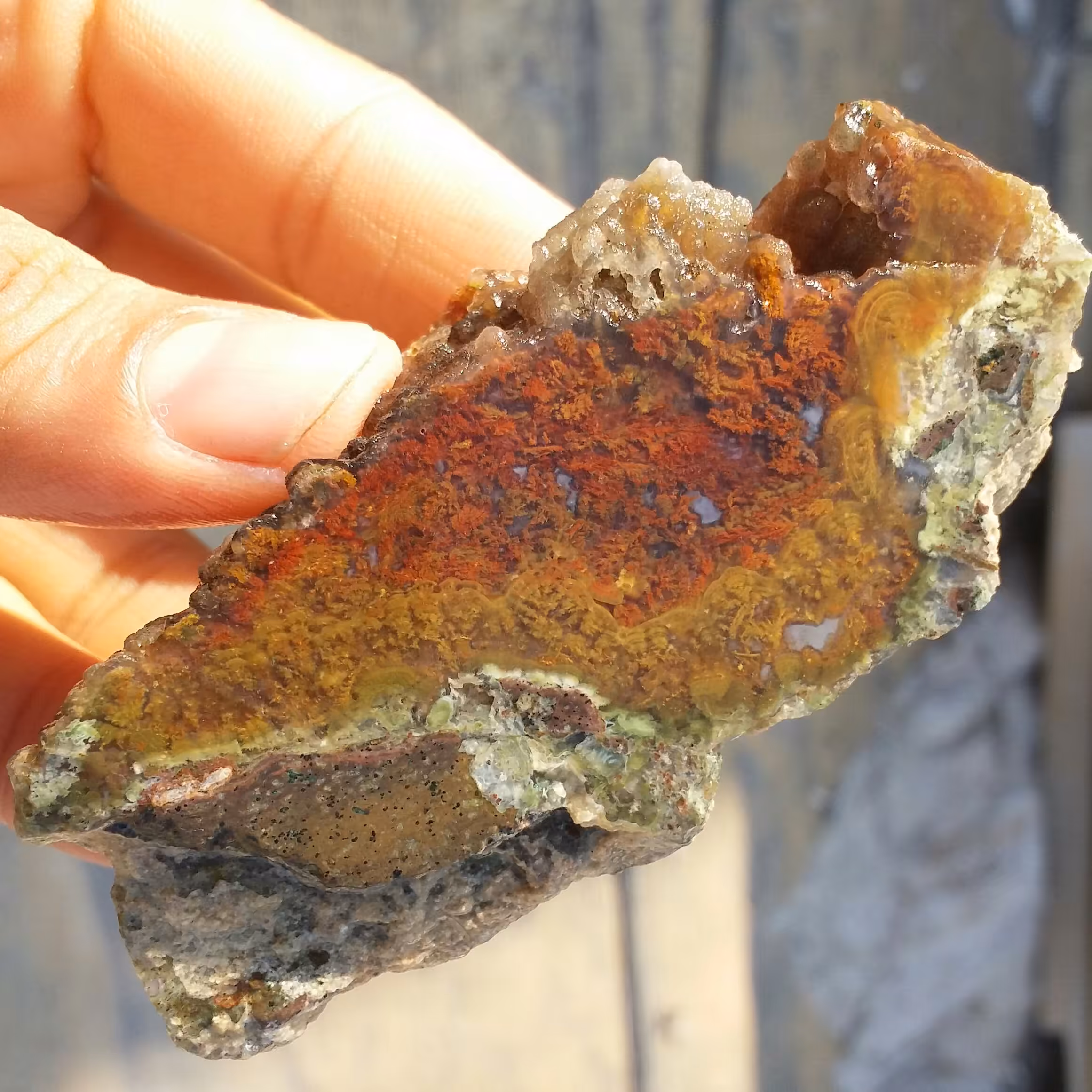 اسلایس سنگ راف عقیق شجر منظره بسیار دیدنی شاهکار خلقت کاملا طبیعی
با قابلیت ساخت چند نگین دیدنی و محشر
 کد 8709