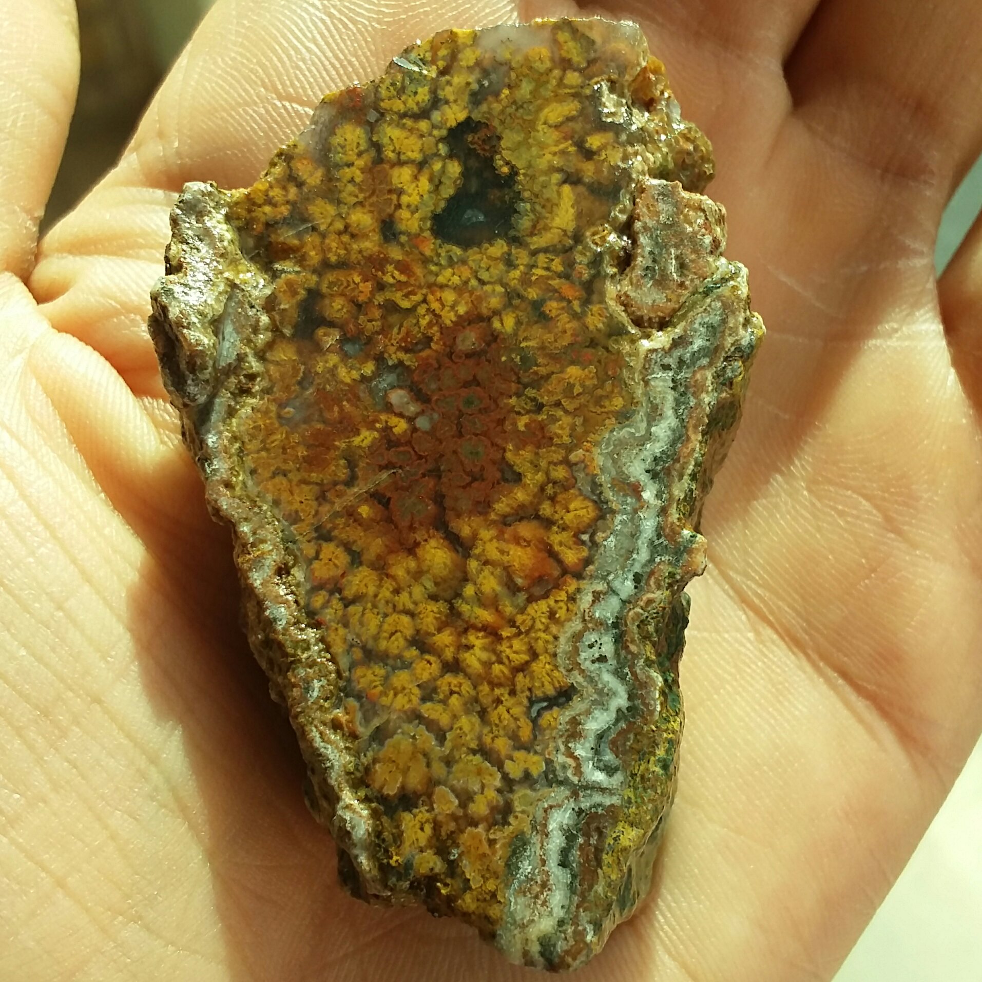 اسلایس سنگ راف شجر پاییزی 7رنگ محشر بی نظیر 100درصد طبیعی