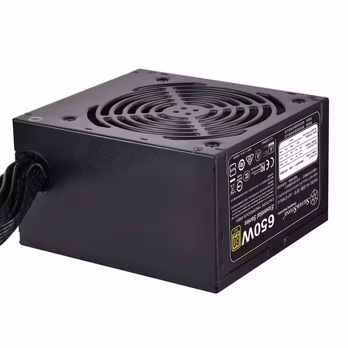 پاور سیلور استون SilverStone ET650-G V1.1