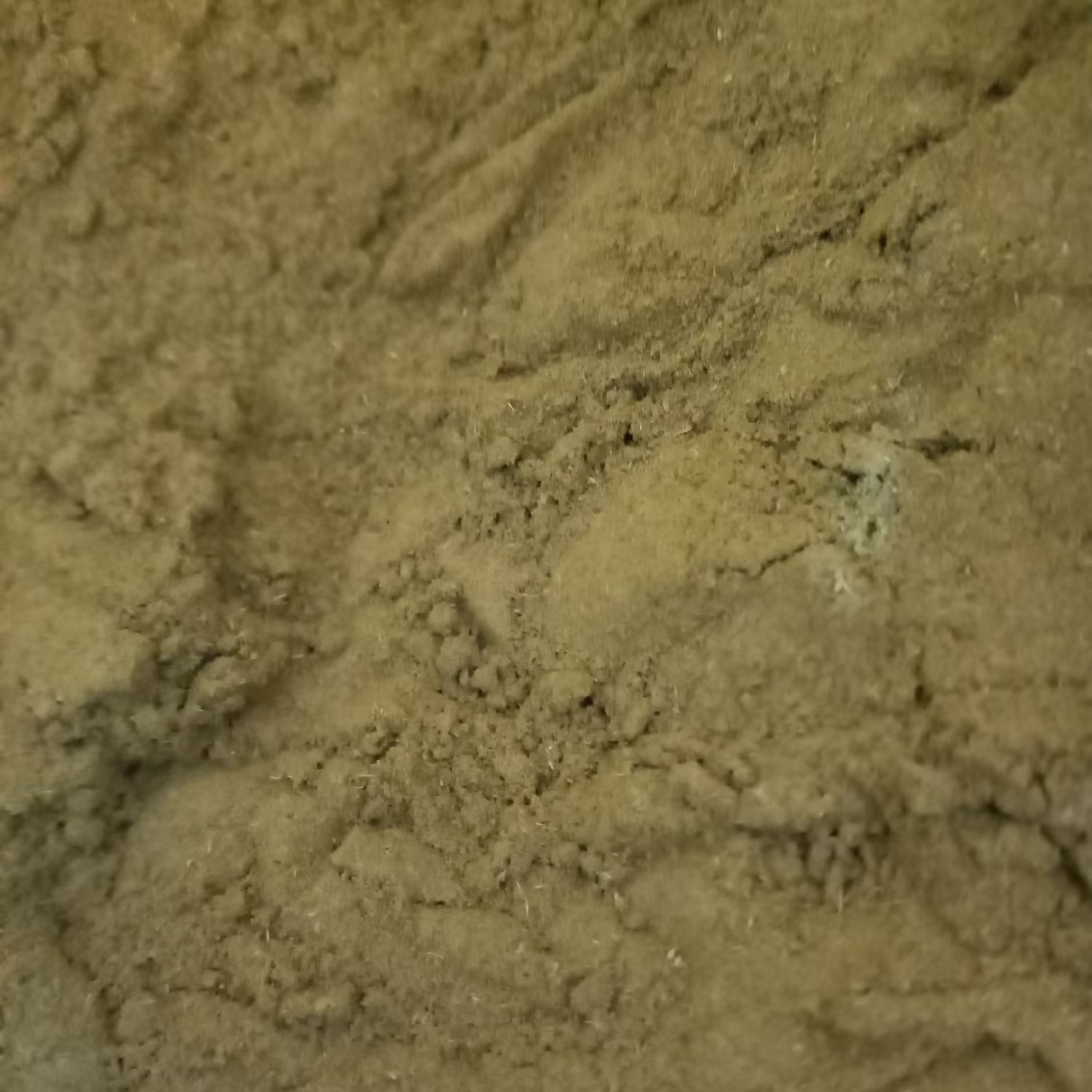 پودرآویشن اعلا 