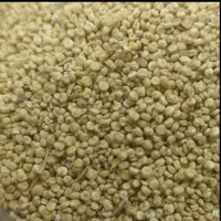 کینوا سفید 250 گرمی گیاهینو