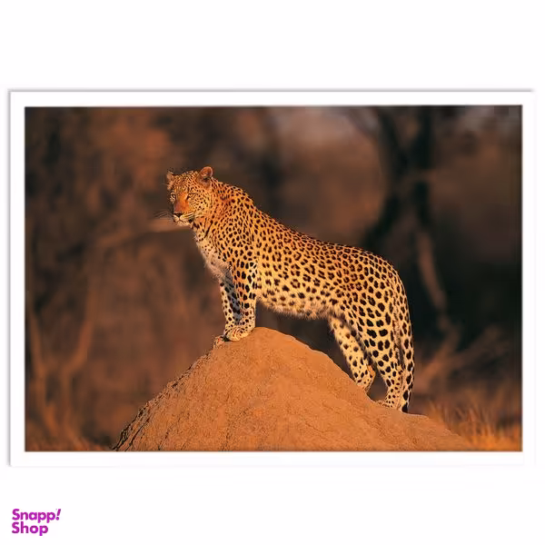 تابلو بکلیت طرح حیات وحش و پلنگ مدل W-S1446