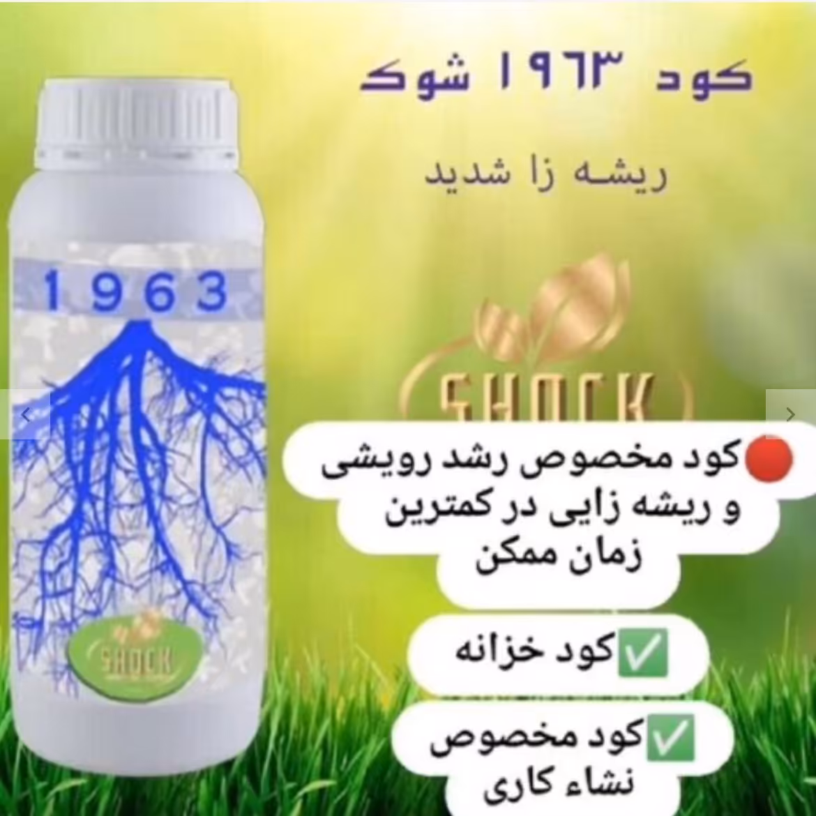 کود ریشه زا شوک مایع 1لیتری