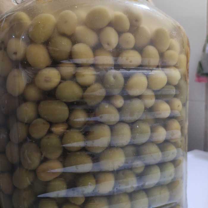 فروش بالای صد کیلو زیتون درشت کنسروی 