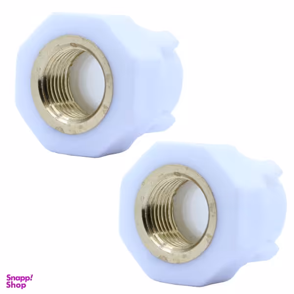 اتصال بوشن مدل DN-20x1/2 بسته 2 عددی