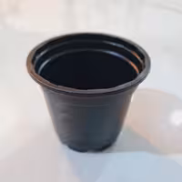 گلدان سایز 8 ژله ای 100 عدد