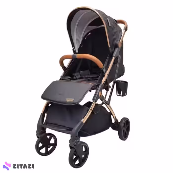 کالسکه مسافرتی اکسس Axes