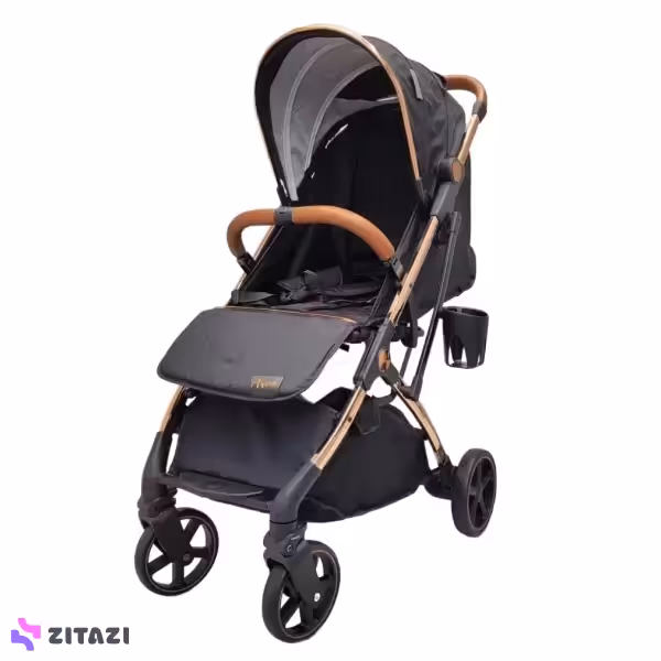 کالسکه مسافرتی اکسس Axes