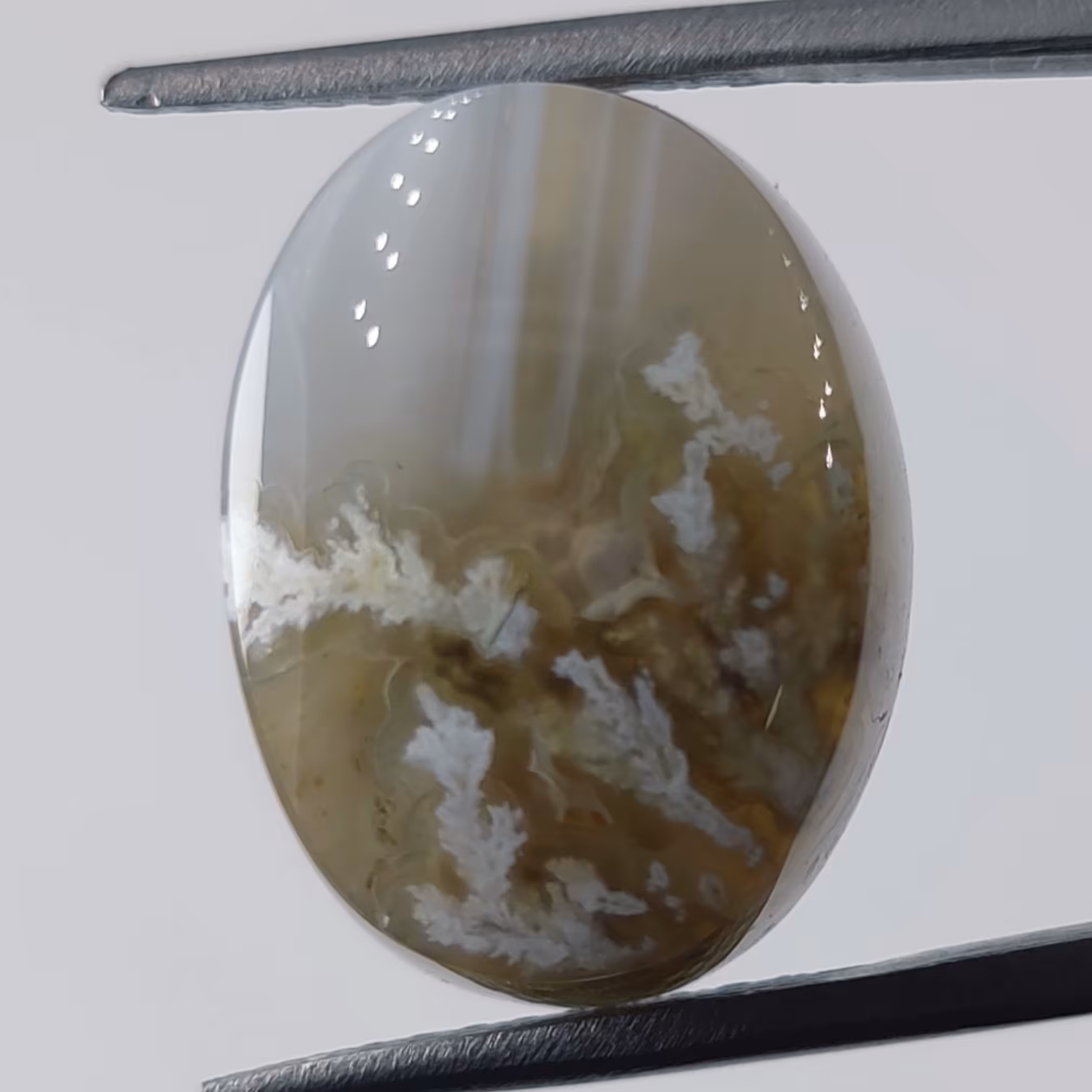 نگین سنگ عقیق شجر معدنی و طبیعی  