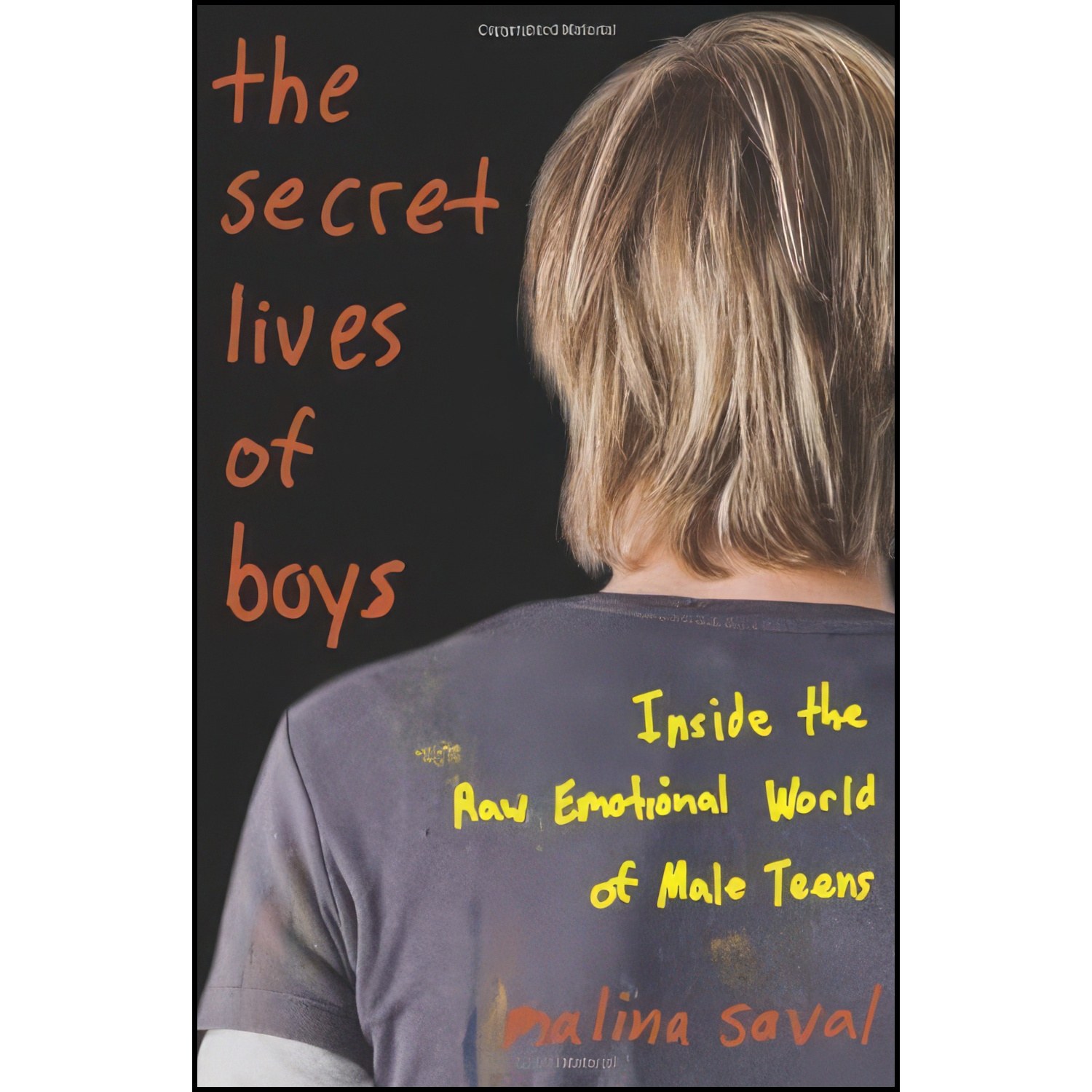 کتاب زبان اصلی The Secret Lives of Boys اثر Malina Saval