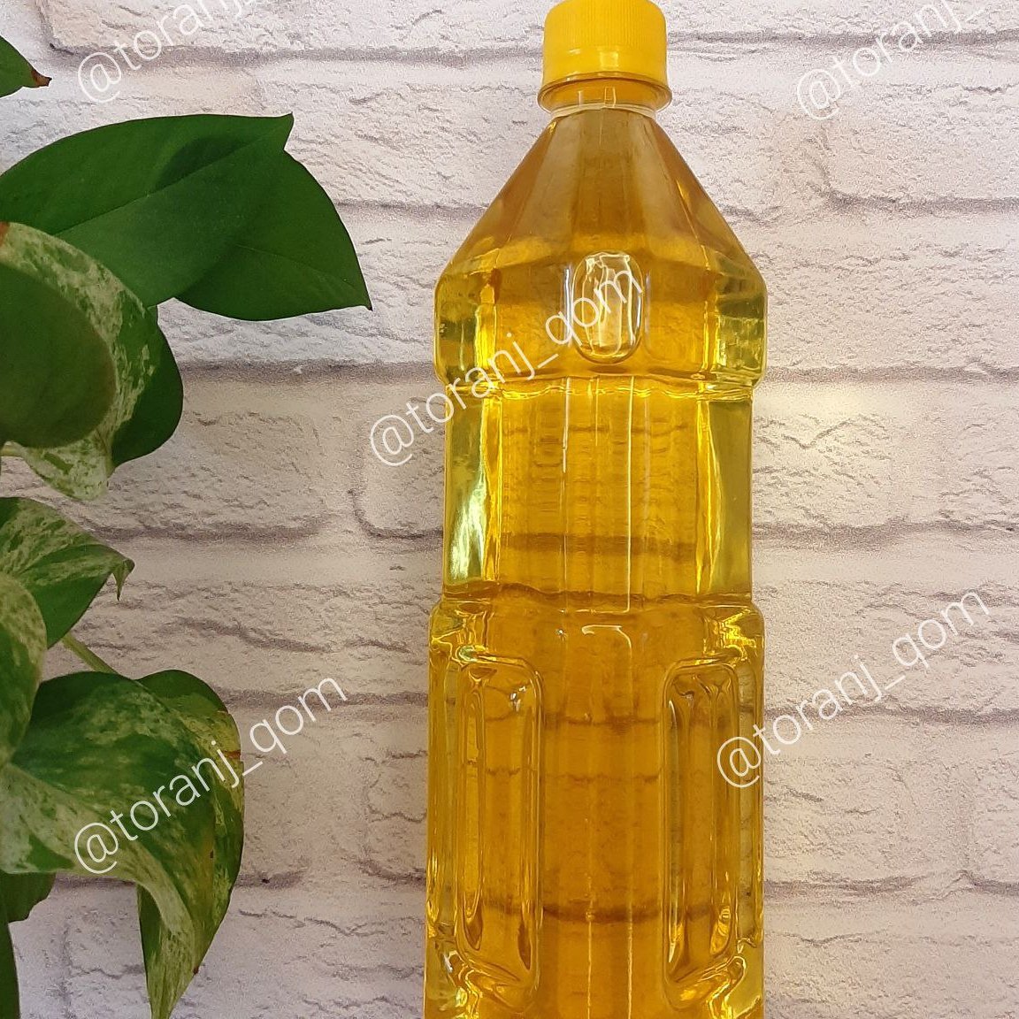 روغن کنجد