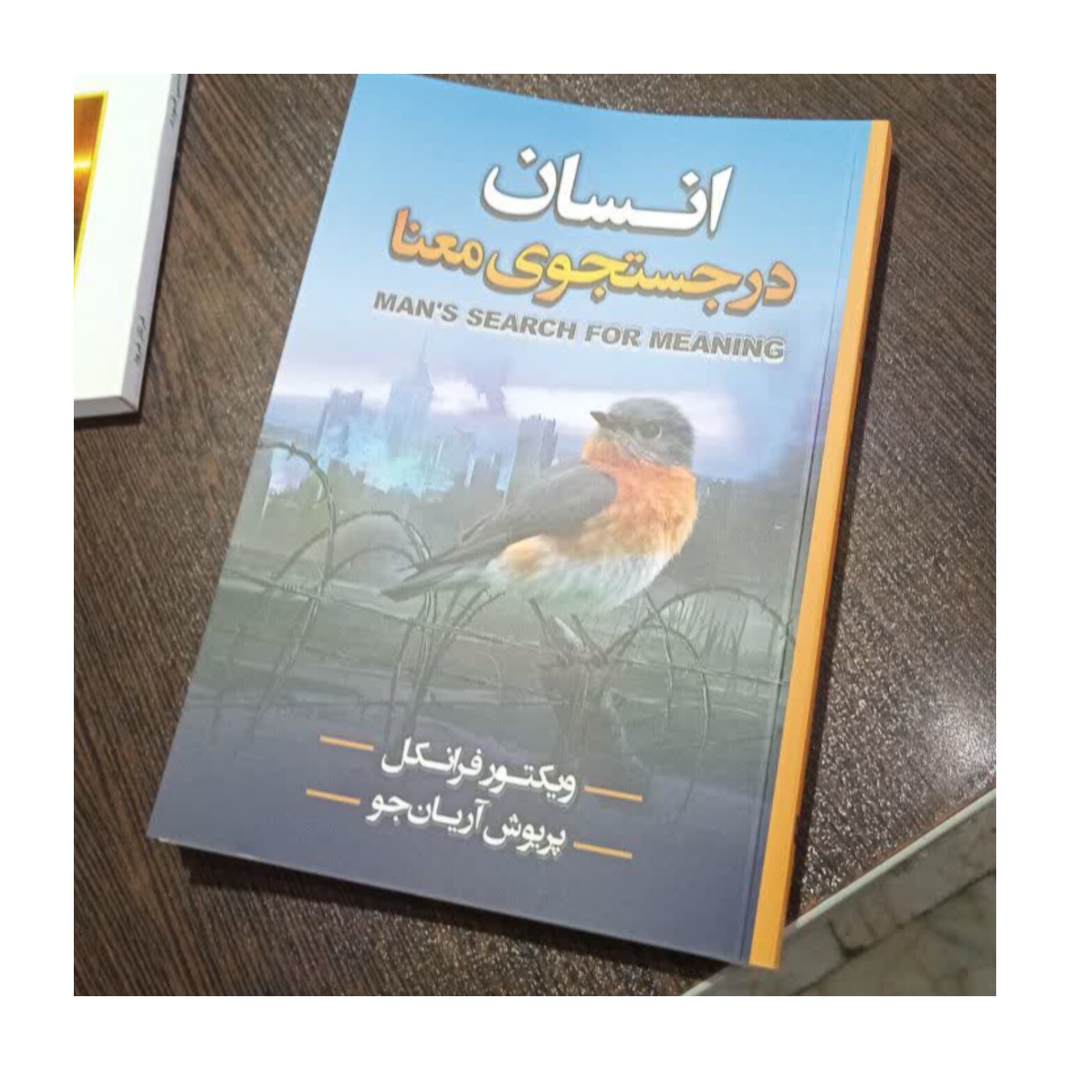 کتاب انسان در جستجوی معنا