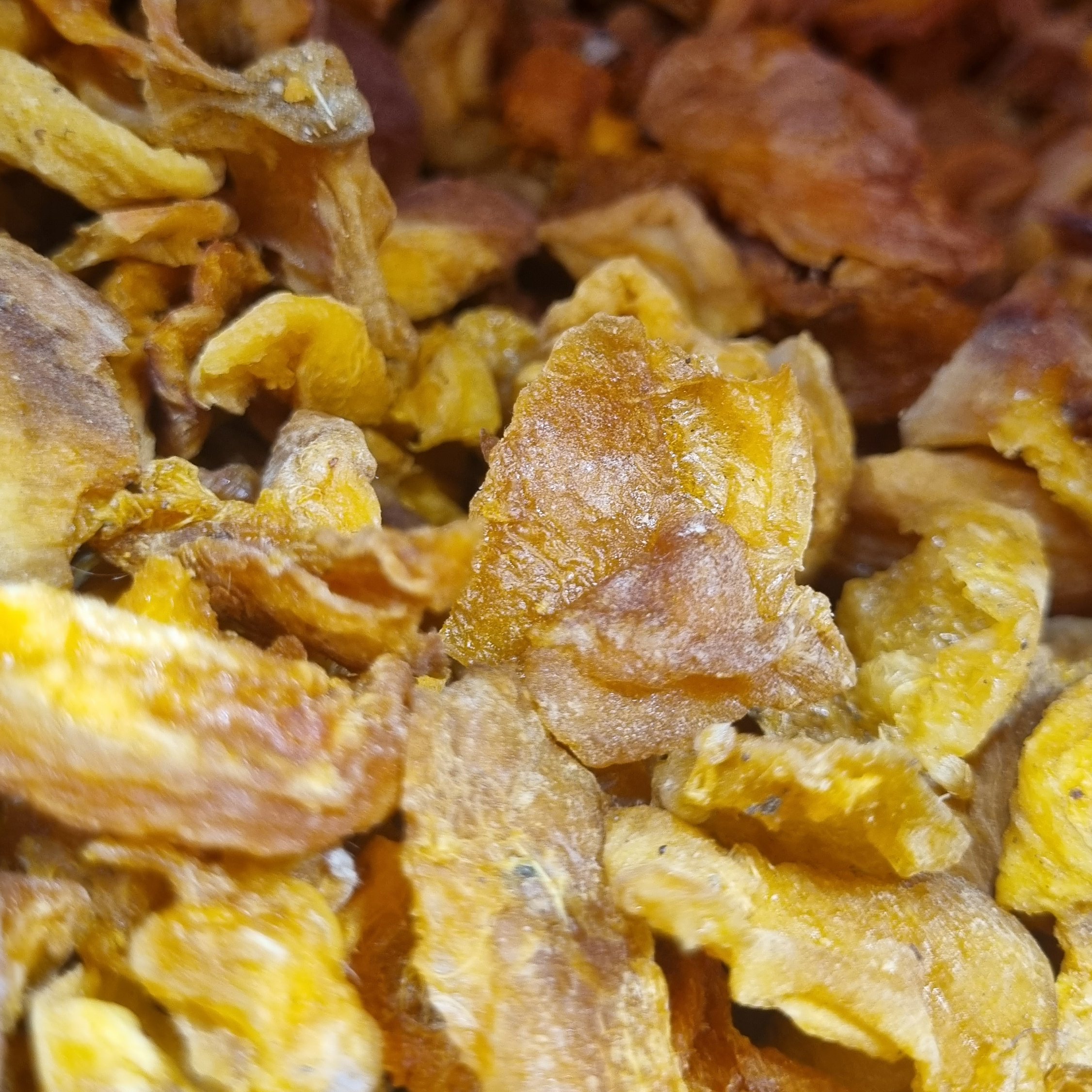 برگه زردآلو نیم کیلویی