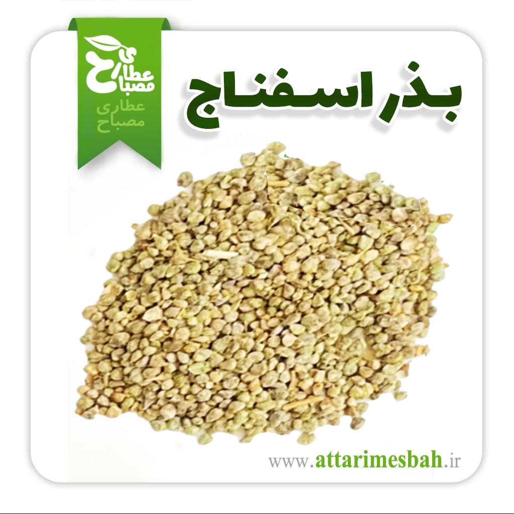 بذر اسفناج 100 گرمی