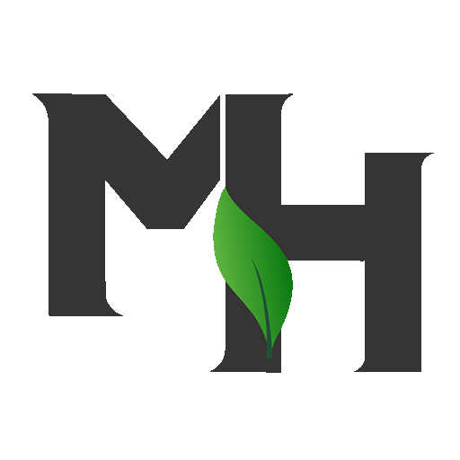 ام اچ فور MH4