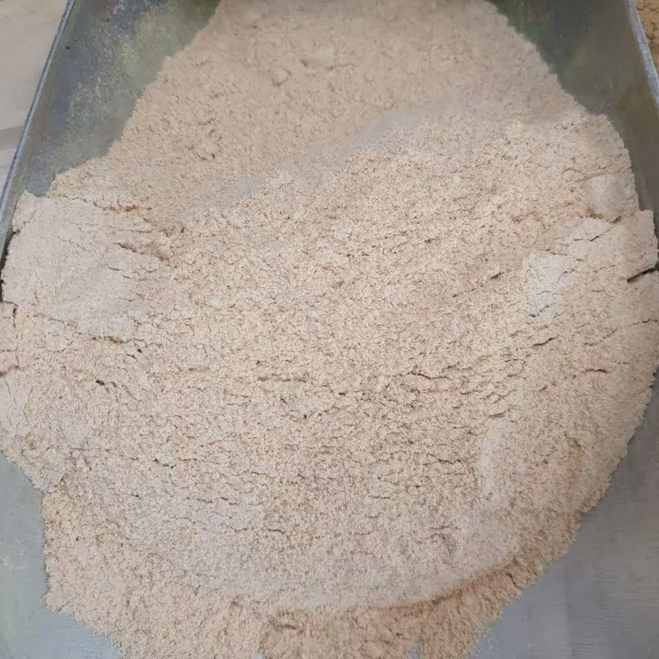 ادویه پودر سیر اعلاء 100 گرم 