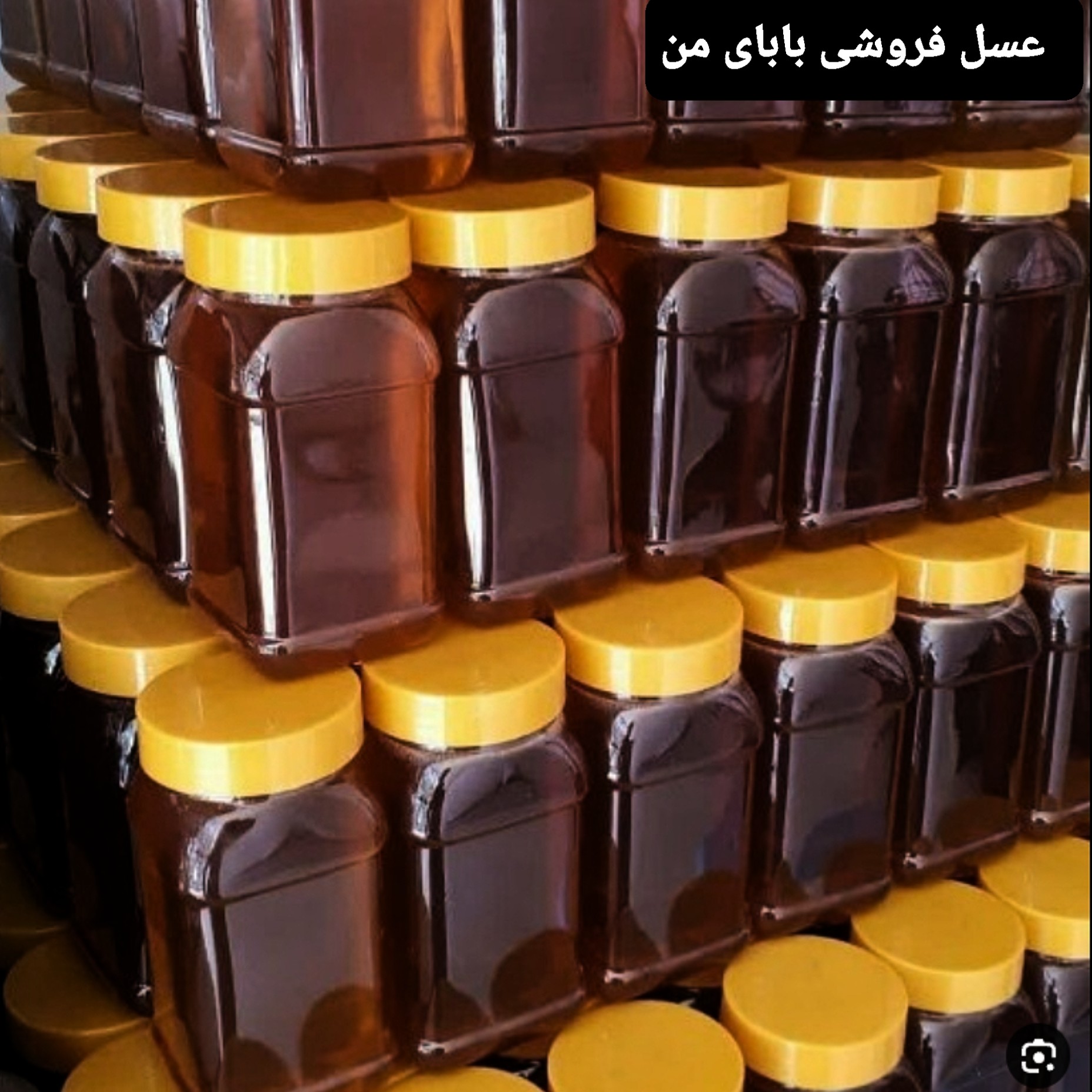 عسل طبیعی گون (1 کیلویی سرعین)