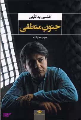 کتاب جنون منطقی اثر افشین یداللهی انتشارات نگاه