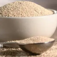 خمیر مایه فوری 100گرم