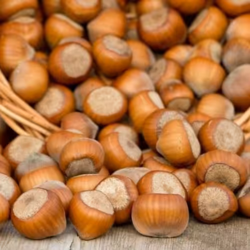 فندوق خوانسار مغز پر و درشت سایز یک کیلو گرمی بسیار چرب و خوش طعم