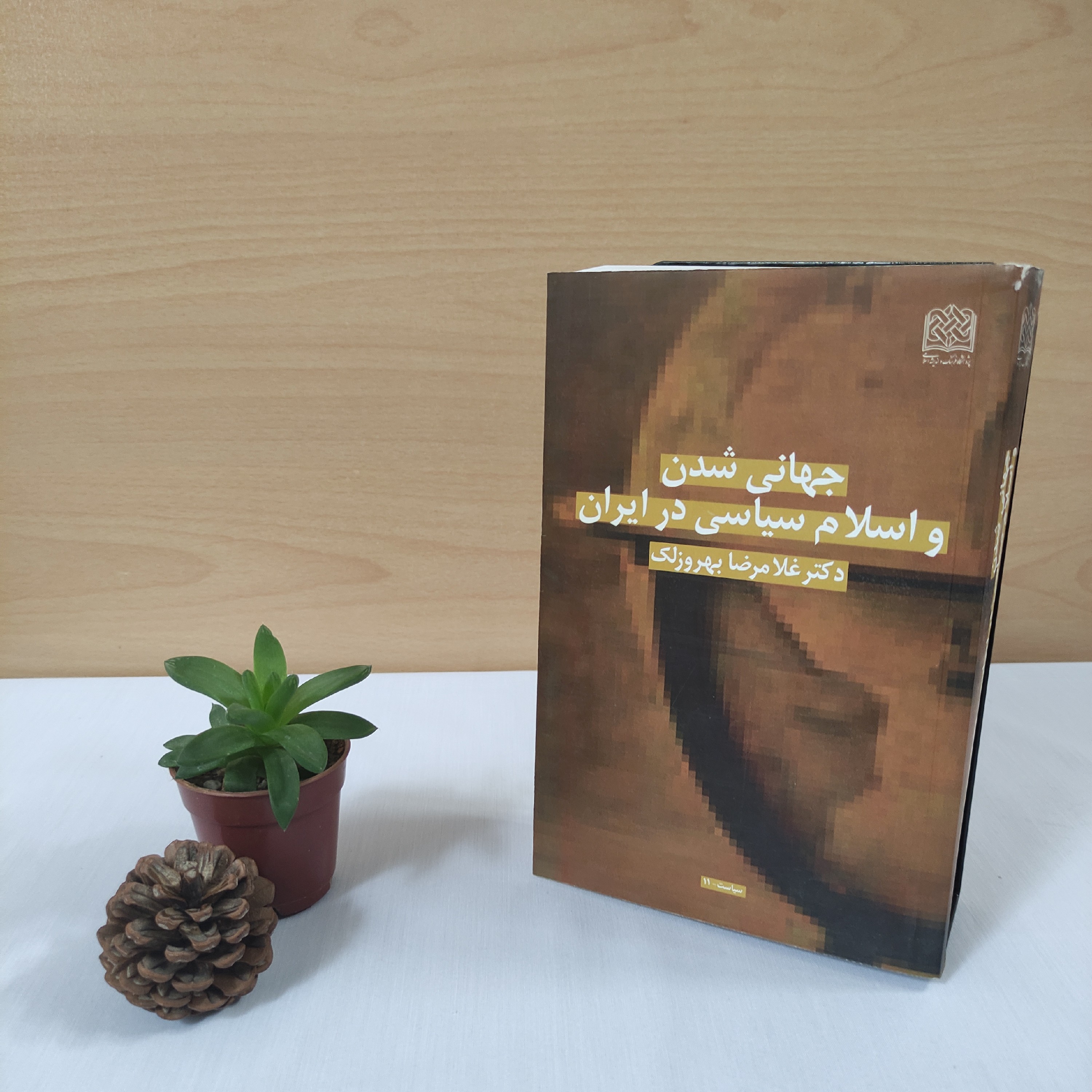 کتاب جهانی شدن و یاران سیاسی در ایران