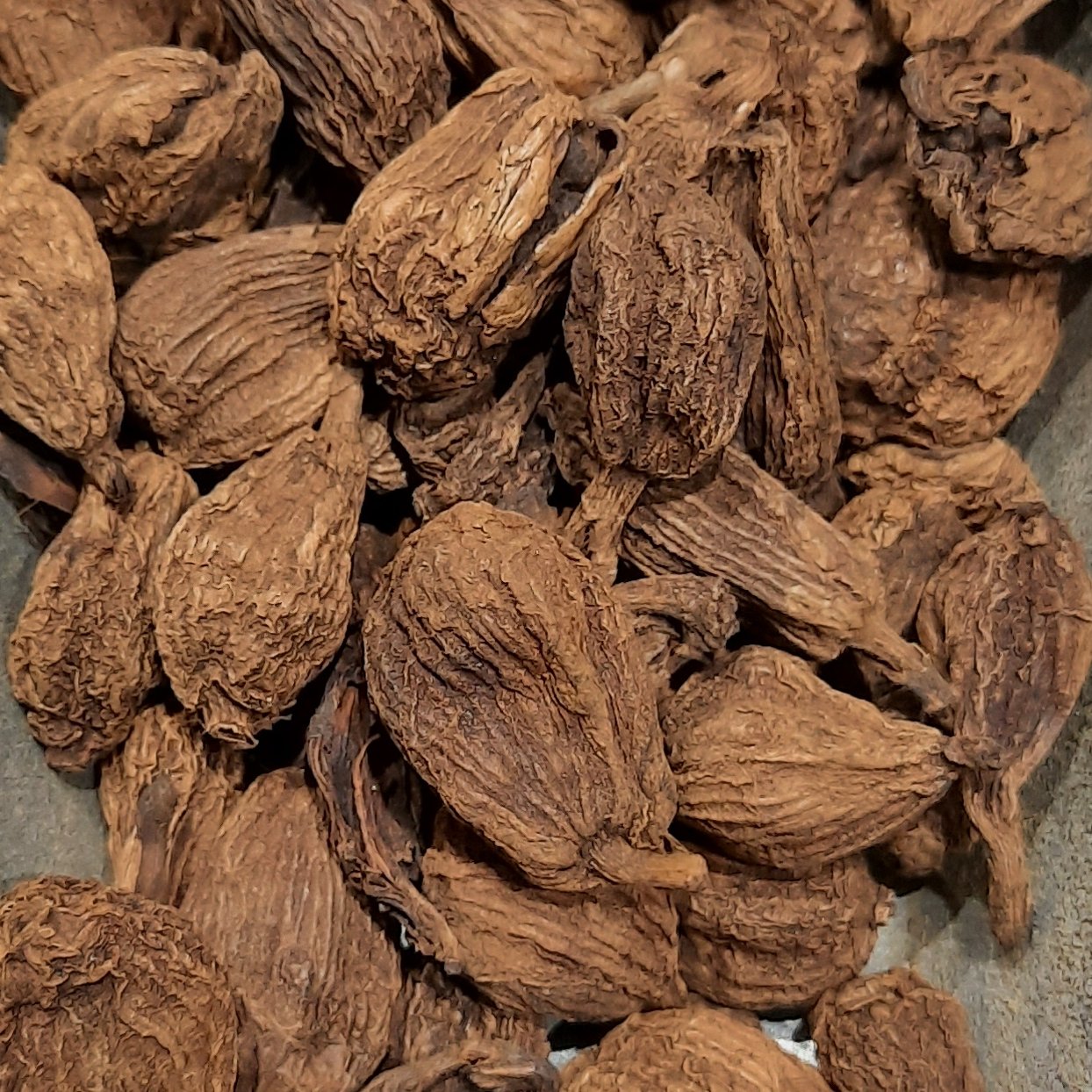 هل باد
