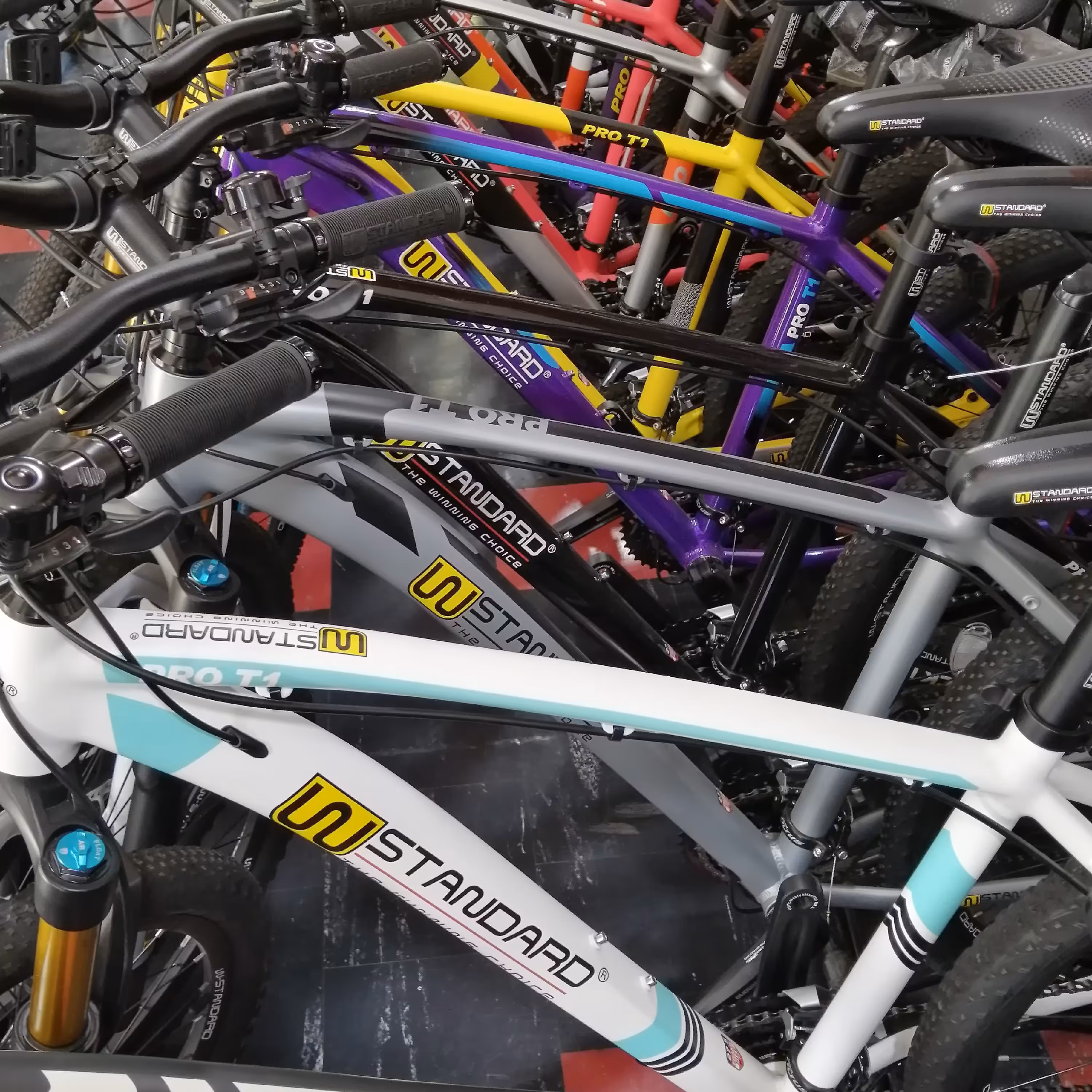 دوچرخه  Wstandard در رنگهای متنوع