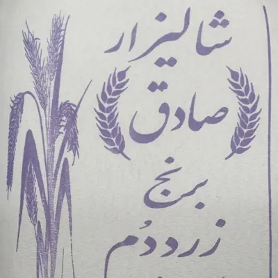 برنج زردم فوق اعلا آستانه اشرفیه  بسته بندی 10 کیلوگرمی شالیزارصادق 
