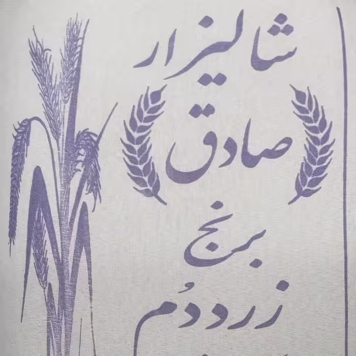 برنج زردم فوق اعلا آستانه اشرفیه  بسته بندی 10 کیلوگرمی شالیزارصادق 