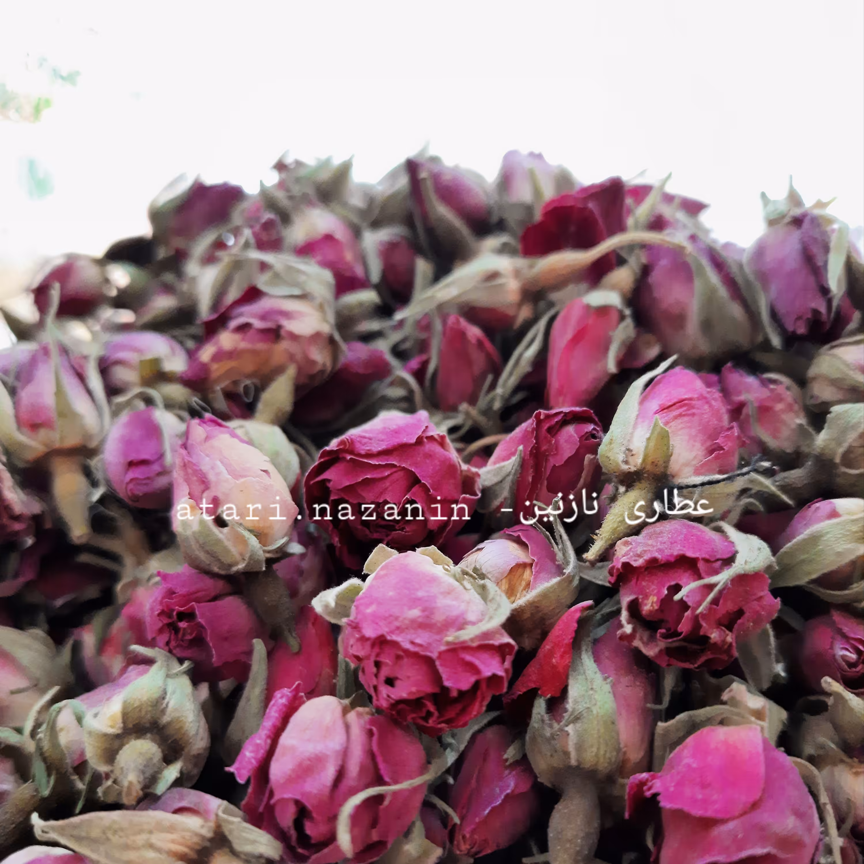 غنچه گل سرخ 100 گرمی